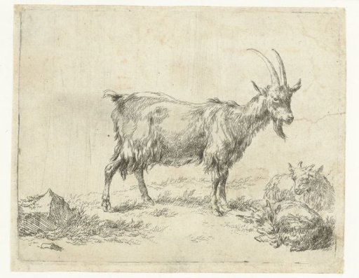Goat with two kids
