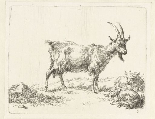 Goat with two kids