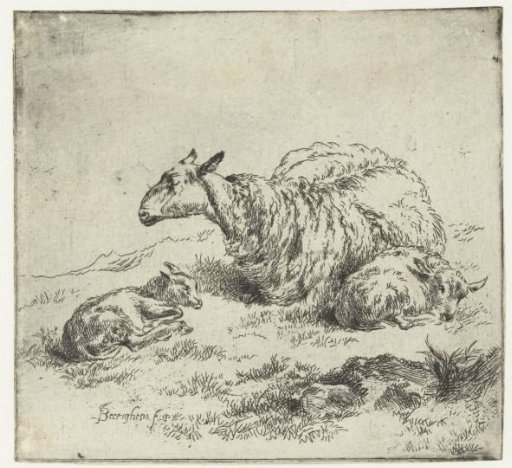 Ewe with two lambs