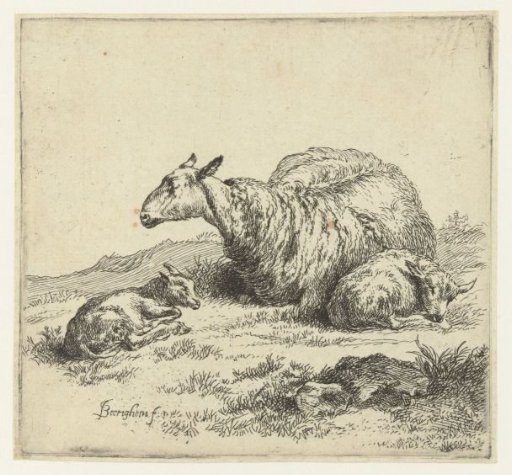 Ewe with two lambs