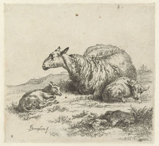 Ewe with two lambs