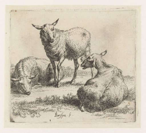 Three sheep