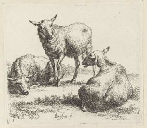 Three sheep