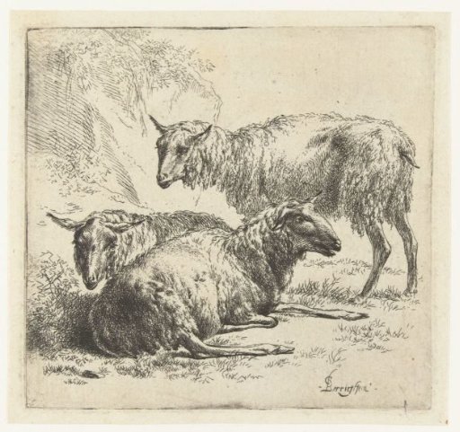 Two sheep lying down and a standing sheep