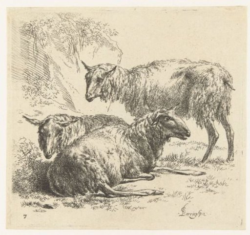Two sheep lying down and a standing sheep