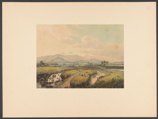 Landscape with shepherds and a flock of goats near the Kawi Mountains