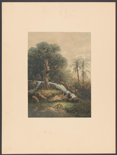 Wooded landscape with a drinking leopard