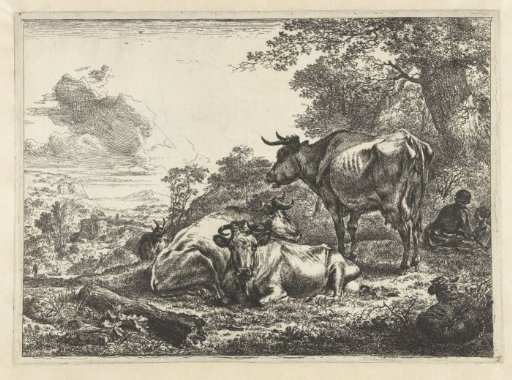 Three resting cows
