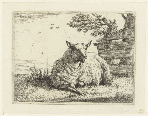 Sheep near a fence