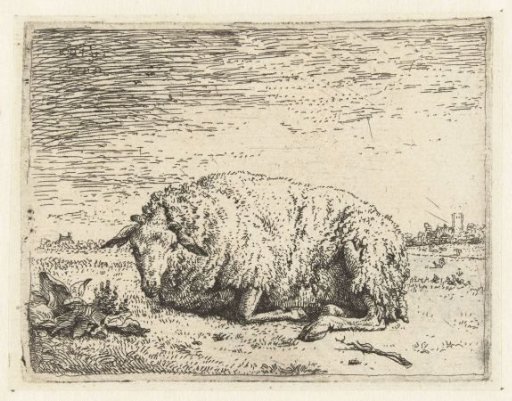 Lying sheep