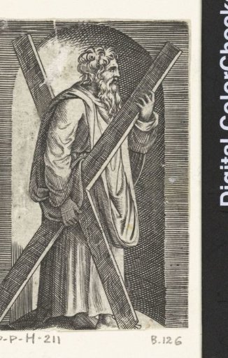 Apostle Andrew with cross standing in a niche