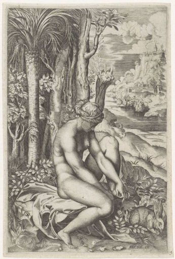 Venus Wounded by the Thorn of a Rose