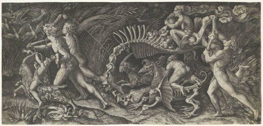 The Carcass