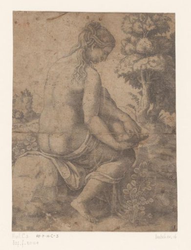 Venus and the Rose