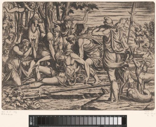 Death of Adonis