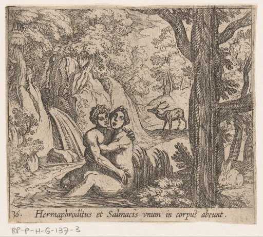Salmacis and Hermaphroditus