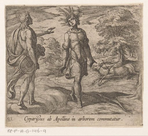 Cyparissus in een cipres veranderd