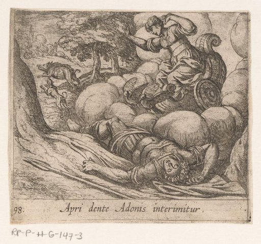 De metamorfose van Adonis
