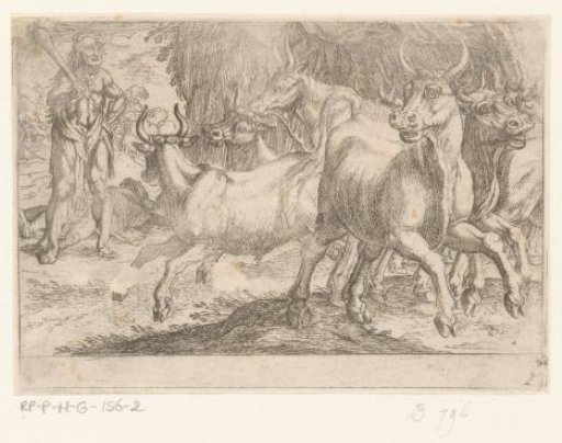 Hercules and the Cattle of Geryon