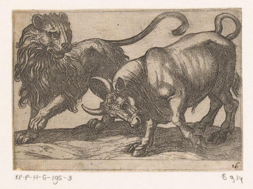 A Bull Attacking a Lion