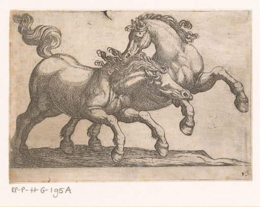 Two fighting horses