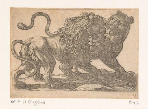 A lion fighting with a lioness