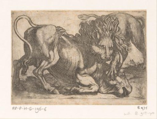 A lion attacking a bull