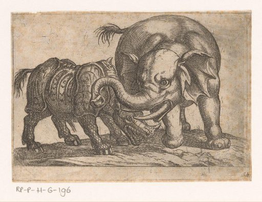 A rhinoceros fighting an elephant