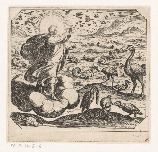 God creates the birds and the fish