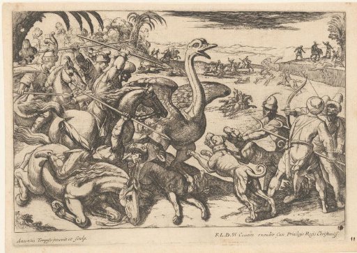 Hunting of ostriches