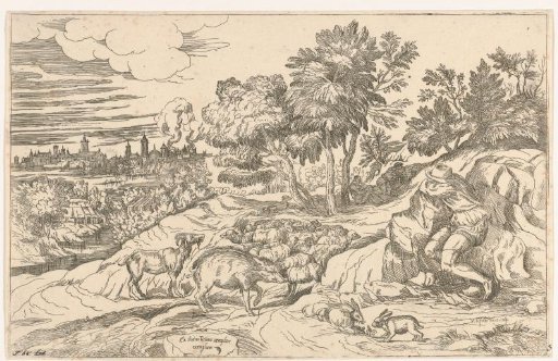 Sleeping Shepherds