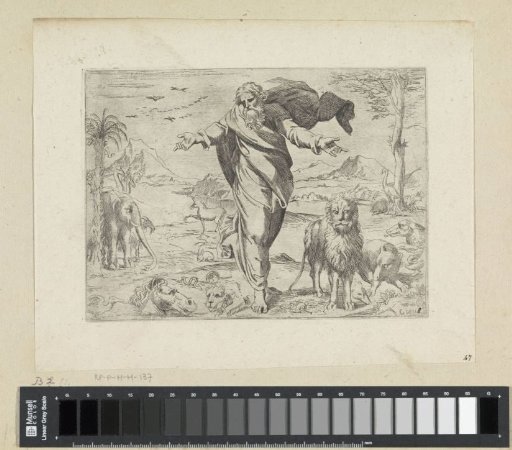 The Creation of the Animals