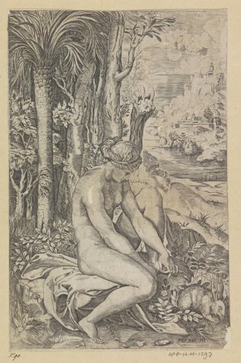Venus and the Rose