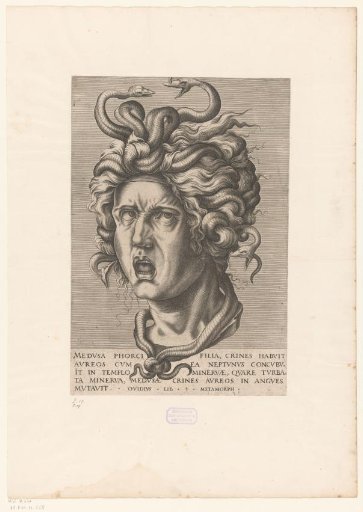 Head of Medusa