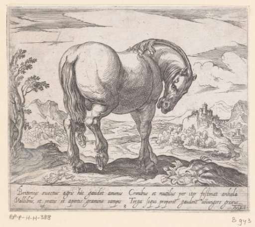 Standing horse with head down, turned to the right