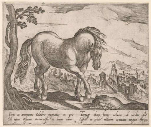 Standing horse turned to the right, with head down towards the viewer