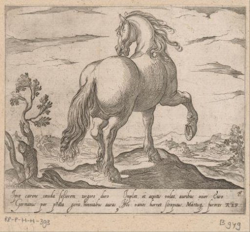 Standing horse seen from behind