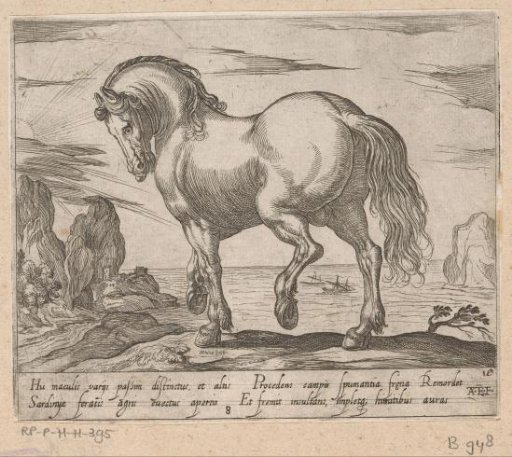 Standing horse turned to the left, before a seascape