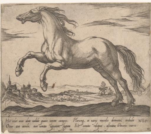 A horse galloping to the left
