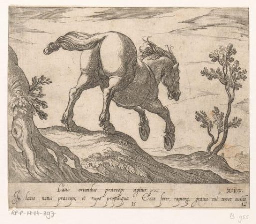 Horse running down a hill, seen from behind