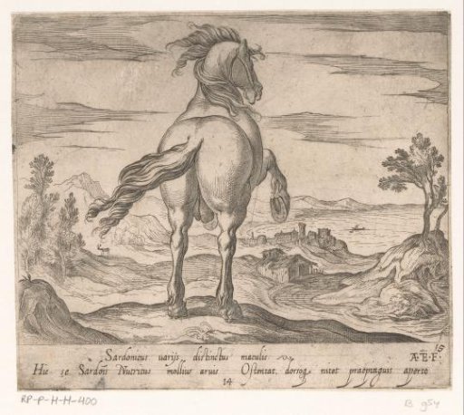Rearing horse seen from behind