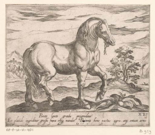 Standing horse turned to the right