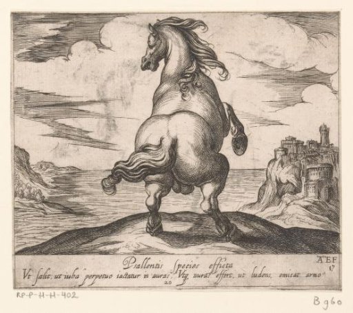 Rearing horse seen from behind before a seascape