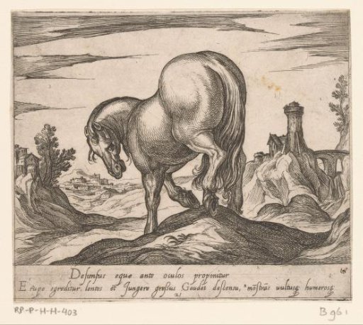 Horse walking down a small hill, seen from behind