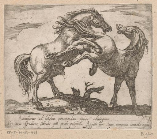 Two horses mating