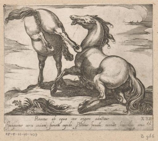 Horse kicking another horse