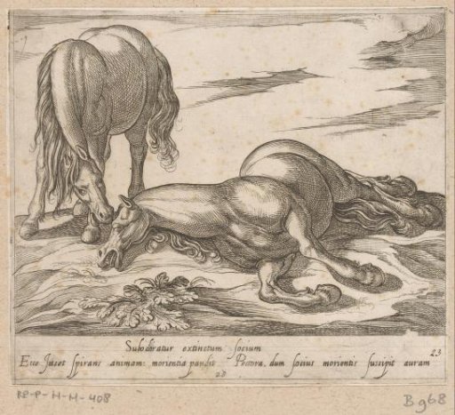 Standing horse beside a dead horse lying down