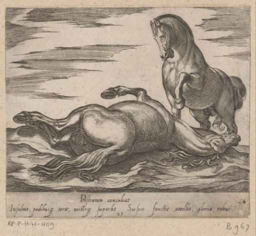 Standing horse scratching a dead horse lying down