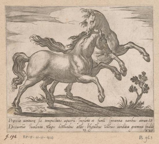 Two fighting horses running to the right