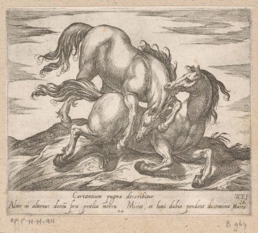 Two fighting horses